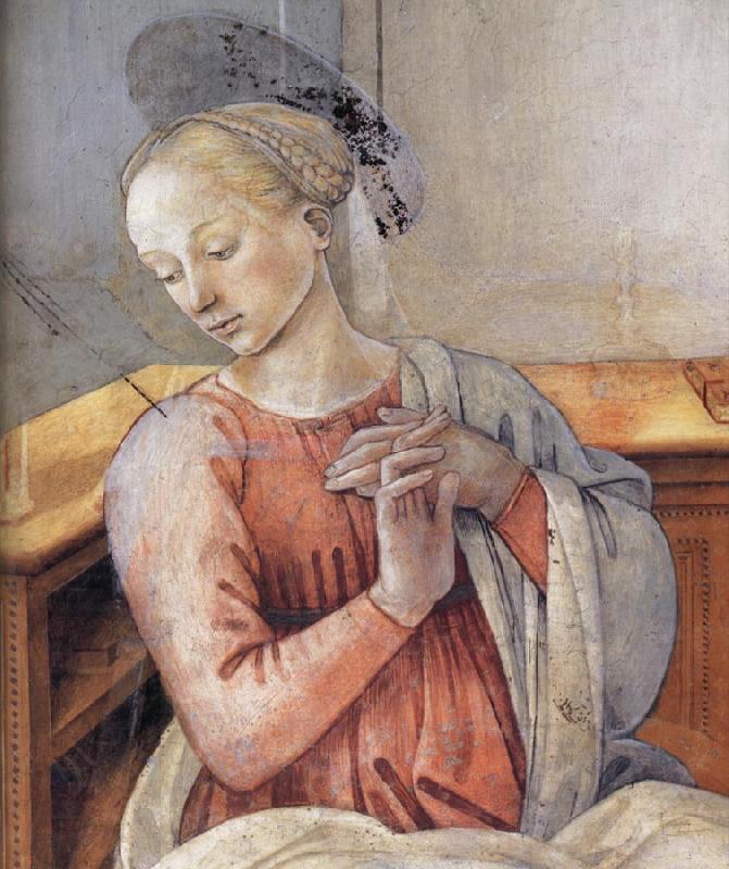 Fra Filippo Lippi Details of The Murals at Prato and Spoleto oil painting image